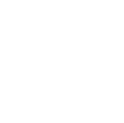 PFL Logo