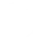 PFL Logo